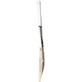 SS Ton Player Edition English Willow Cricket Bat (Standard Size Short Handle)