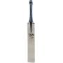 SS Ton Player Editon Kashmir Willow Cricket Bat (Standard Size Short Handle)