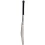 SS Ton Player Editon Kashmir Willow Cricket Bat (Standard Size Short Handle)