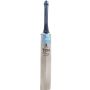 SS Ton Player Editon Kashmir Willow Cricket Bat (Standard Size Short Handle)