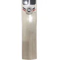 SS Ton Professional English Willow Cricket Bat (Standard Size Short Handle)