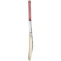 SS Ton Professional English Willow Cricket Bat (Standard Size Short Handle)