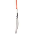 SS Ton Reserve Edition English Willow Cricket Bat