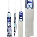 SS Ton Super Kashmir Willow Cricket Bat (Standard Size Short Handle)