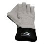 SS Academy Wicket Keeping Gloves