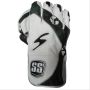 SS Player Series Cricket Wicket Keeping Gloves