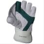 SS Player Series Cricket Wicket Keeping Gloves