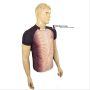 Thrax Polo Badminton T Shirt Black Red M9 Size Large
