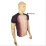 Trio Pack Thrax Badminton T shirts Size Medium M16