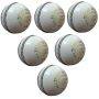 Thrax Stride White Cricket Balls 6 Ball Set