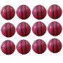Thrax Test Cricket Ball Pink 12 Ball Set