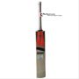 Thrax Hitter English Willow Cricket Bat
