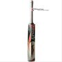 Thrax Hitter English Willow Cricket Bat