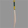 Thrax Custom Made Cricket Bat English Willow Grade B Plus T5