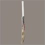 Thrax X Force English Willow Cricket Bat Size 5