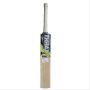 Thrax Dynamic Power English Willow Cricket Bat Size 5