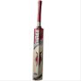Thrax T 20 Power Blade Kashmir Willow Cricket Bat