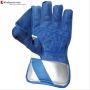 Thrax Power Grip Cricket Wicket Keeping Gloves Blue and Silver