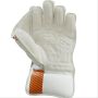 Thrax Grab Master Wicket Keeping Gloves
