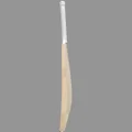 Thrax Custom Made English Willow Bat (Standard Size Short Handle)