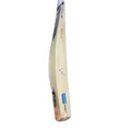 SG HP Flame English Willow Cricket Bat (Standard Size Short Handle)