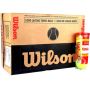 Wilson Championship Tennis Ball 24 Cans