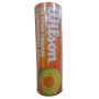 Wilson US Open Tennis Ball 1 Cans Orange