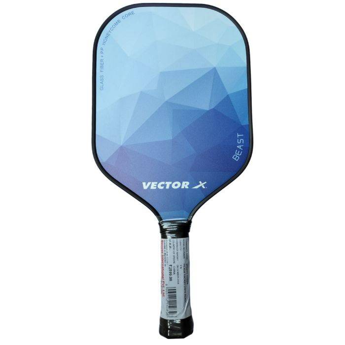 Buy Vector X Beast Pickleball Racket – USAPA Approved Paddle at