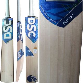 DSC BLU 300 English Willow Cricket Batqq