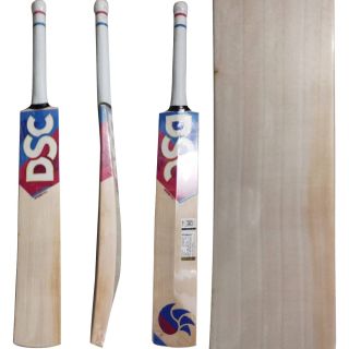 DSC Intense Shoc English Willow Cricket Bat