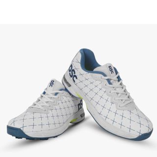 DSC Biffer 22 Stud Cricket Shoes