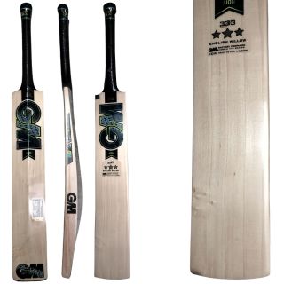 GM Aion 303 English Willow Cricket Bat