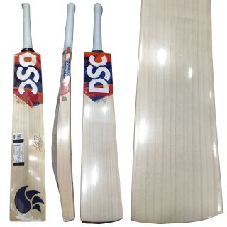 DSC Bull 31 English Willow Cricket Bat