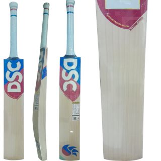 DSC Intense Speed English Willow Bat (Standard Size Short Handle)