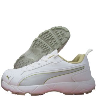 Puma Classicat Cricket Shoes Mettallic Gold Puma Silver Puma White