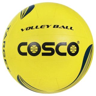 Cosco Target VolleyBall Size 4
