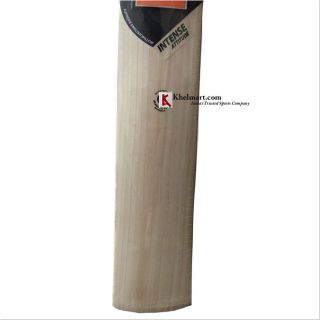 DSC Intense Attitude English Willow Cricket Bat Baseimage01