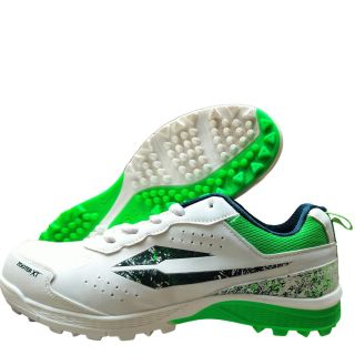 DSC Zooter XT Cricket shoes white, green and dark blue