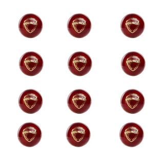 SG Bouncer Cricket Ball 12 Ball set Baseimage01