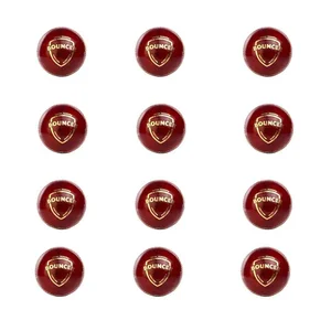 SG Bouncer Cricket Ball 12  Ball set