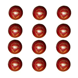SG Tournament Special Cricket Ball 12 Ball set
