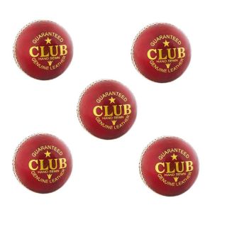 Thrax Cricket Ball 5 Ball Set