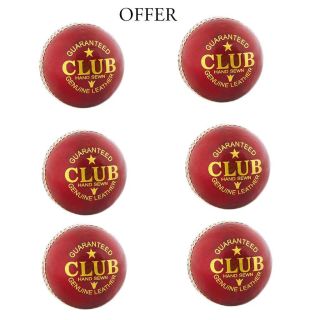Thrax Cricket Ball 6 Ball Set