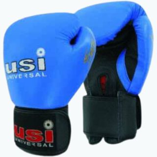 USI Training Boxing Gloves