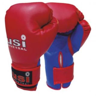 USI Bouncer Boxing Gloves