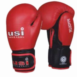 USI Safe Spar Boxing Gloves