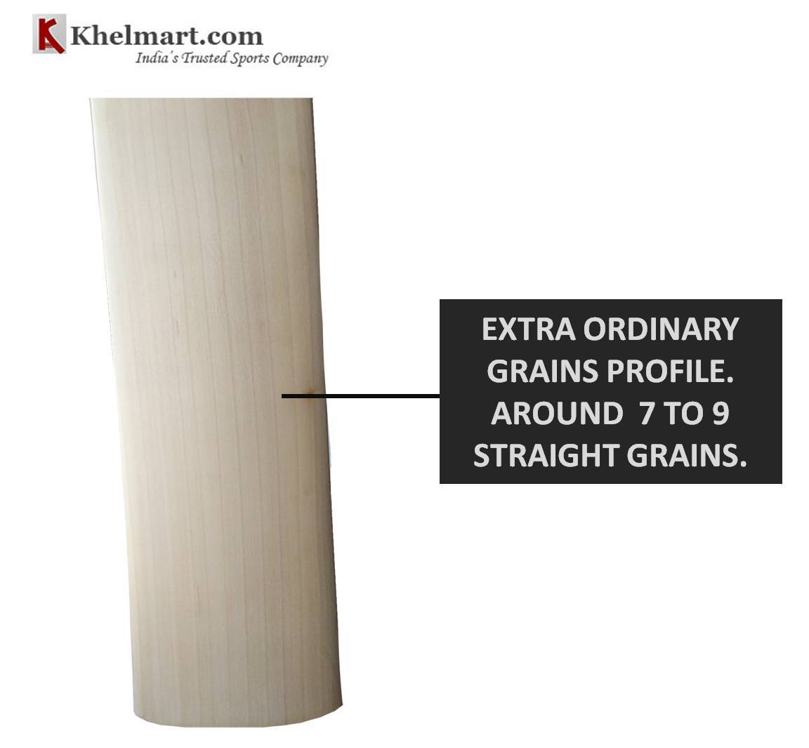 CUSTOM_BAT_GRAINS_PRPFILE_T48.jpg
