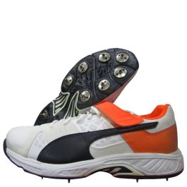Puma cricket shoes 2017 on sale