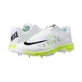 Nike domain cricket shoes discount
