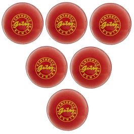 SS Gutsy Synthetic Cricket Ball 6 Ball Set,- Buy SS Gutsy Synthetic